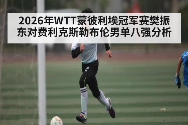 2026年WTT蒙彼利埃冠军赛樊振东对费利克斯勒布伦男单八强分析